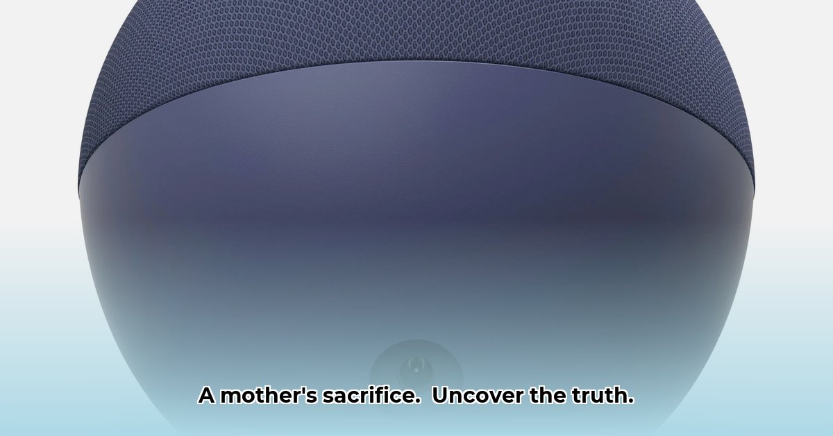 echo-valley-ending-explained